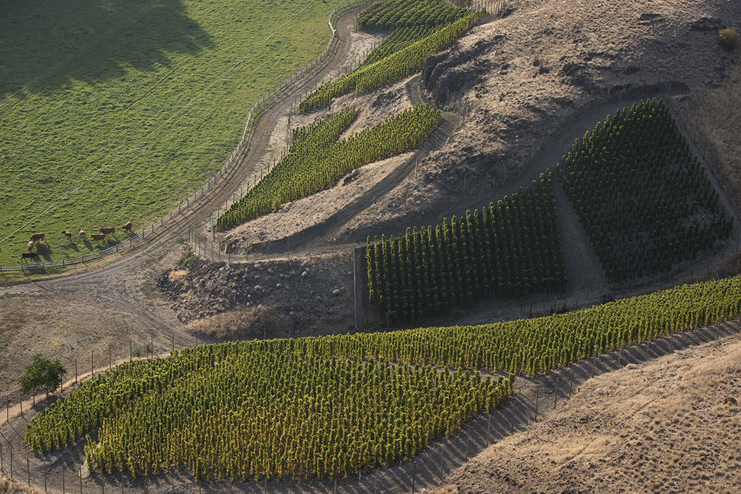 Full aerial view of the Hors Catégorie Vineyard