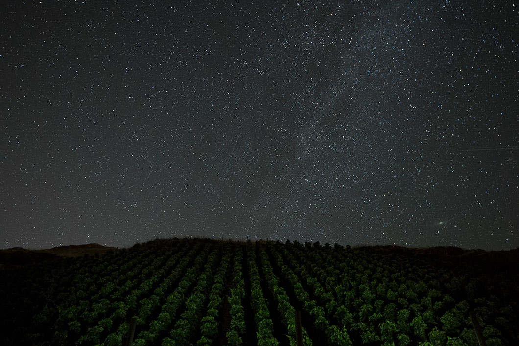 The Hors Catégorie Vineyard with the night stars above