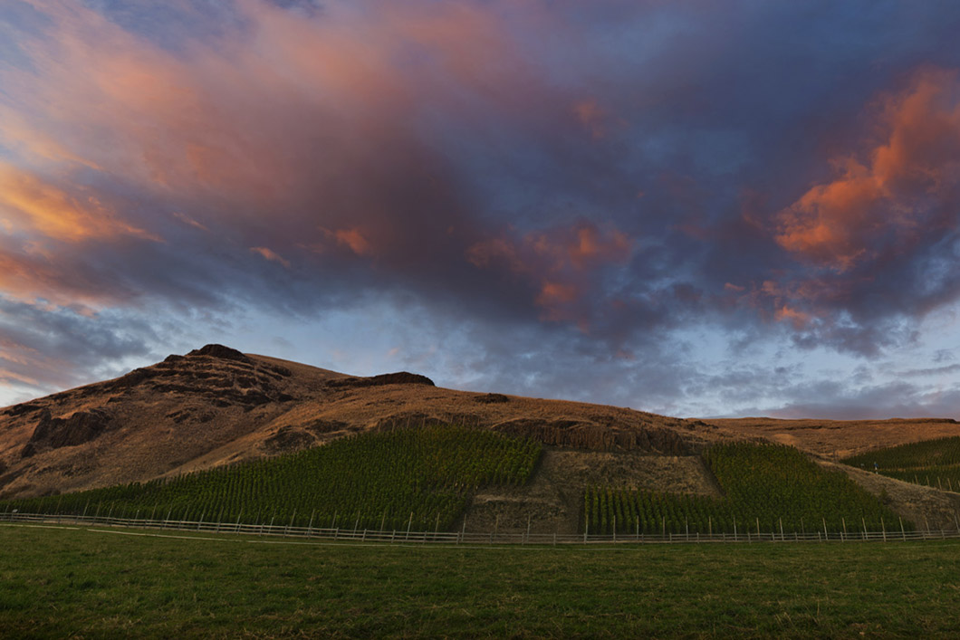 Full view of  the Hors Catégorie Vineyard at sunset